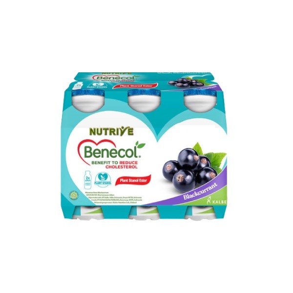 

Nutrive Benecol Blackcurrent Nas 6 pcs x 100 ml - ARM