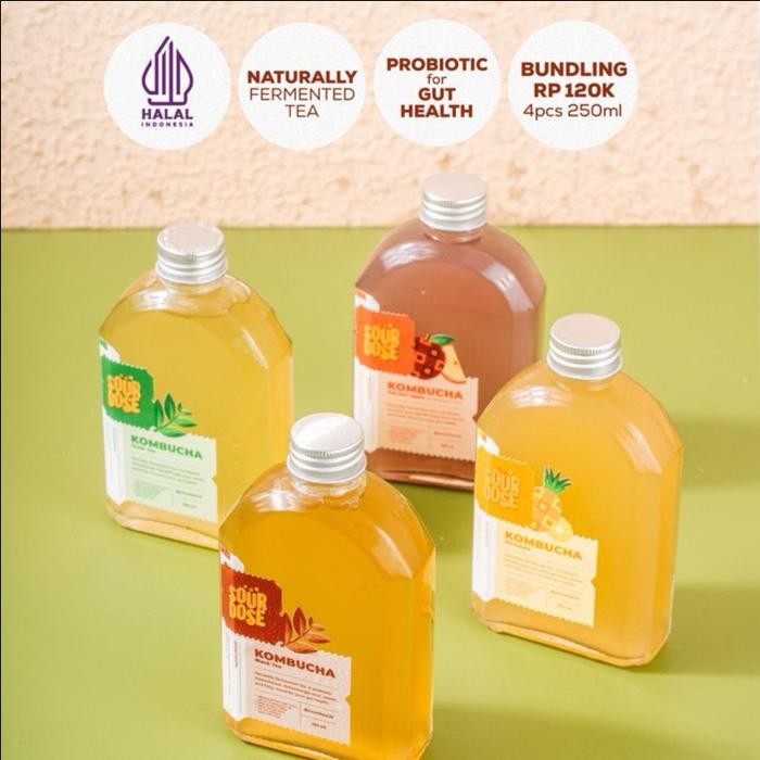 

[BUNDLING, LEBIH HEMAT] Kombucha 250ml - 4 Bottle | by Sourdose