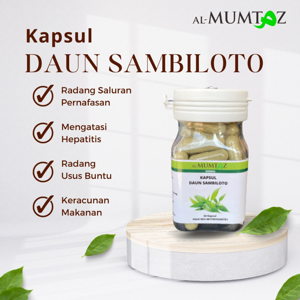 

COD Bubuk Kapsul Sambiloto Asli Jamu Herbal Alami Original Bubuk Diabetes Kencing Manis Ginjal Gatal daya tahan tubuh