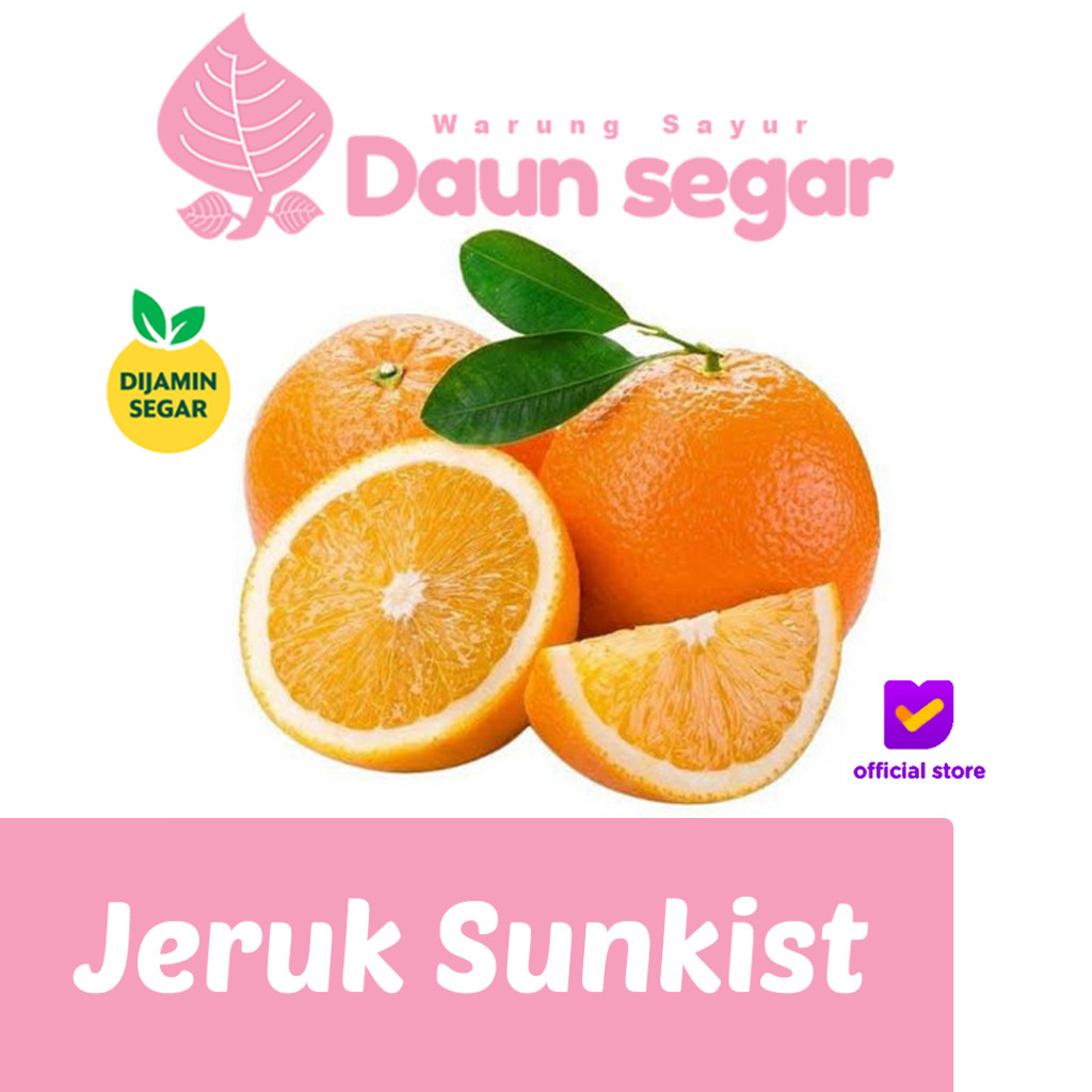 

Jeruk Sunkist Segar 1kg Buah Impor Pilihan, Vitamin C Melimpah - Daun segar