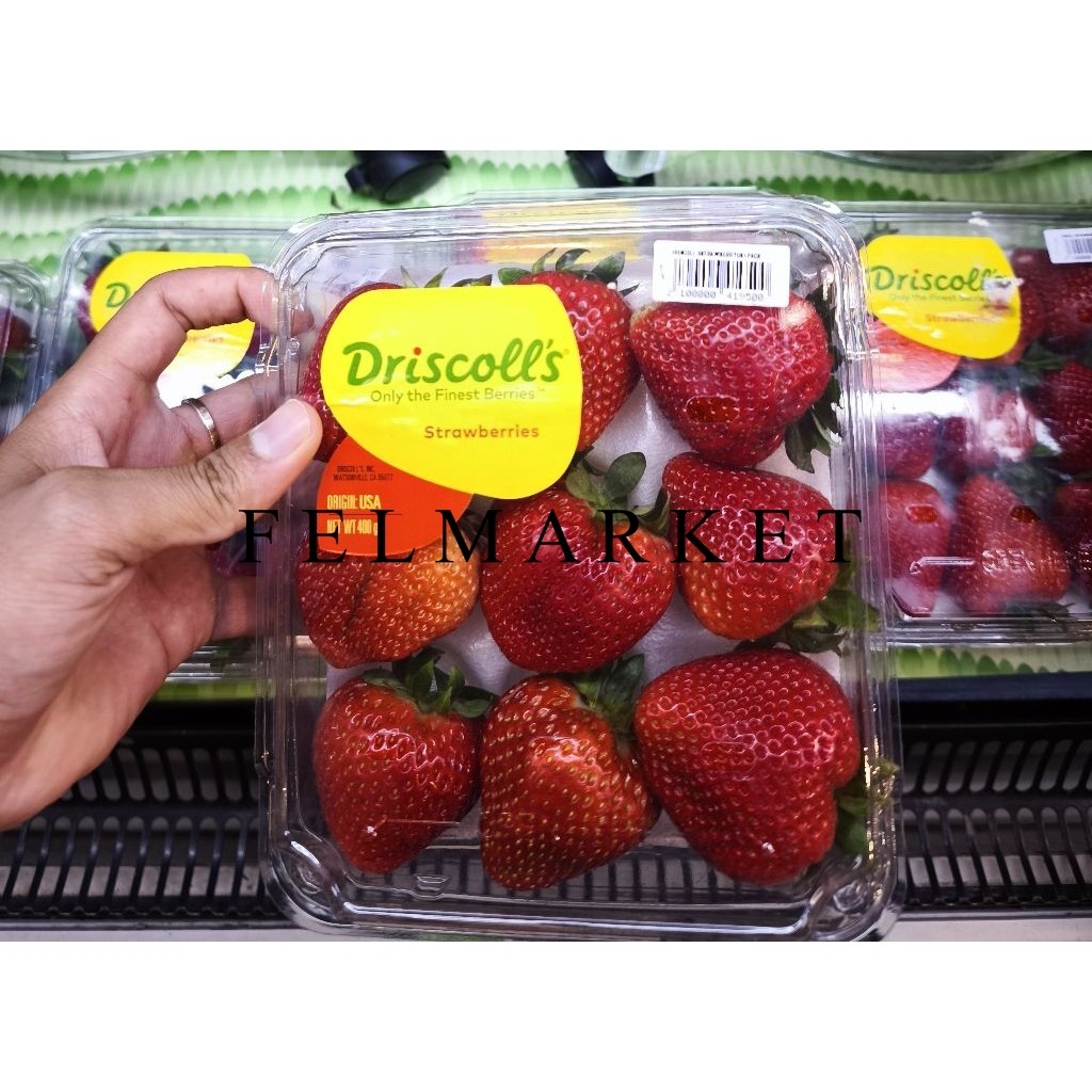 

Strawberry Driscolls Jumbo Fresh / Buah Strawberry Driscolls / Pack