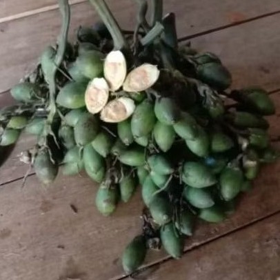 

.. buah pinang / Buah jame . muda siap kirim 1000 gram