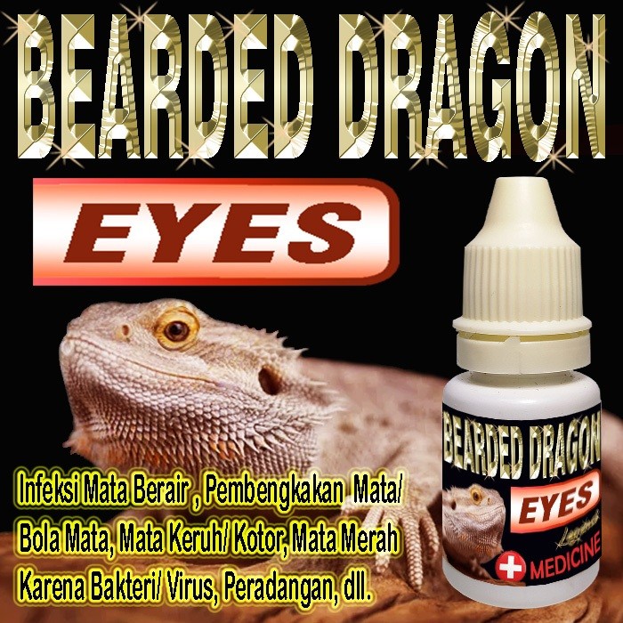 BEARDED DRAGON EYES OBAT TETES MATA REPTILE INFEKSI BERAIR MERAH BENGKAK BERSELAPUT TERTUTUP KATARAK