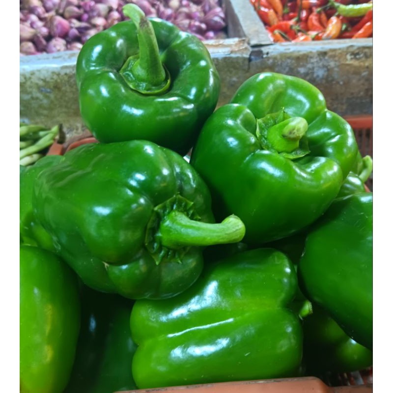 

Paprika Ijo Segar 1.kg