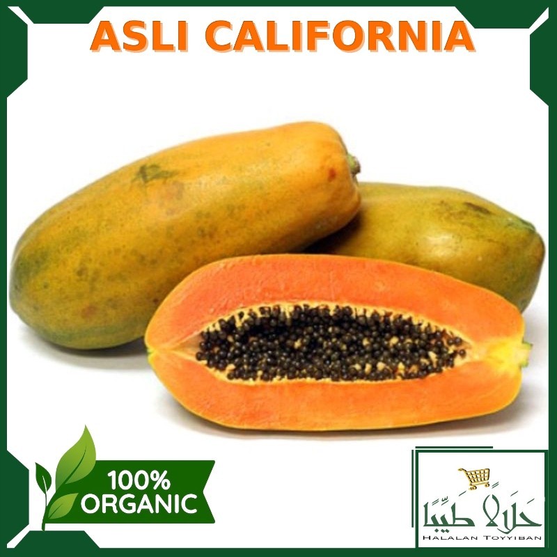 

Pepaya California Fresh 1 Buah Full / Buah Pepaya Per 1 Buah