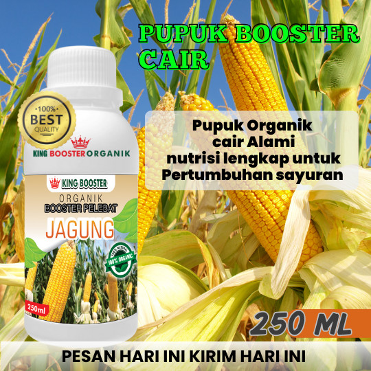 Pupuk cair Organik Tanaman Jagung Pupuk Jagung Cepat Besar Pupuk Pelebat Jagung Pupuk Khusus Tanaman