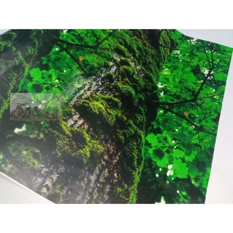 

BAYAR DI TEMPAT STIKER CAMO LUMUT JATI 50X50CM TERBARU TERLARIS TERMURAH MANTAP KEREN TERBARU MULTI GUNA TERLARIS MASA KINI TERKEREN MANTAP TAHAN AIR TIDAK LUNTUR TERBARU TERLARIS TERMURAH