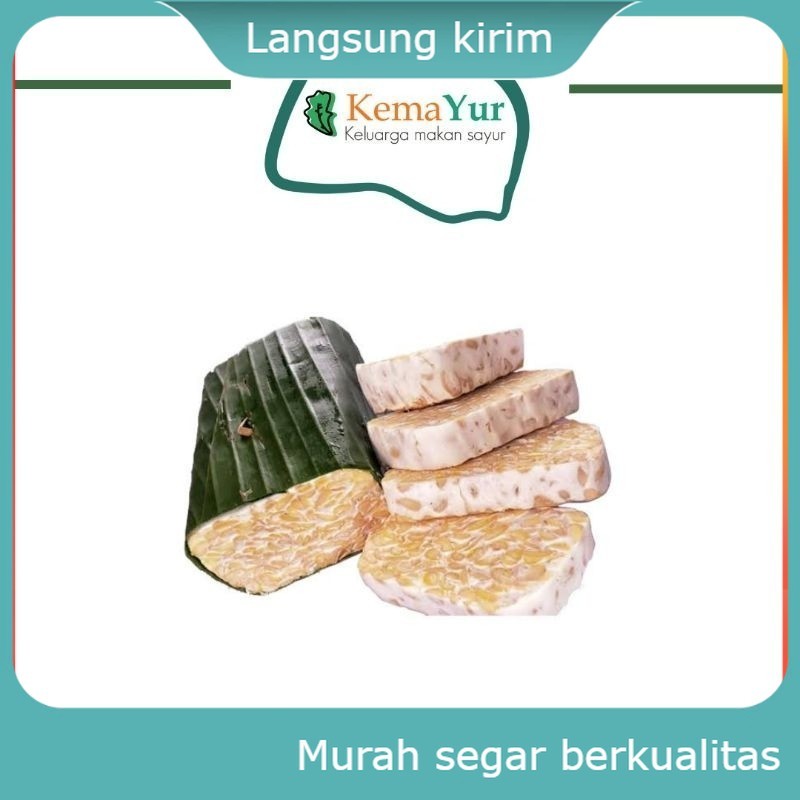 

TEMPE POTONG TEMPE KEDELAI TEMPE KECIL