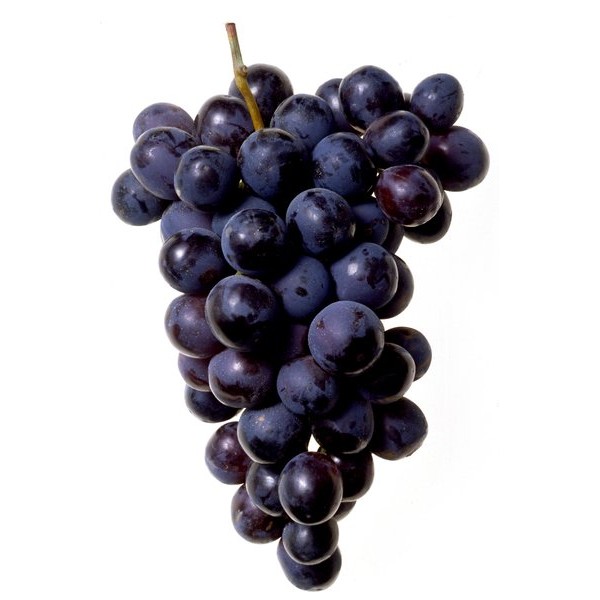 

Premium Esen Aroma Grape / Anggur untuk Flavor E-Liquid / Essence Import Singapore