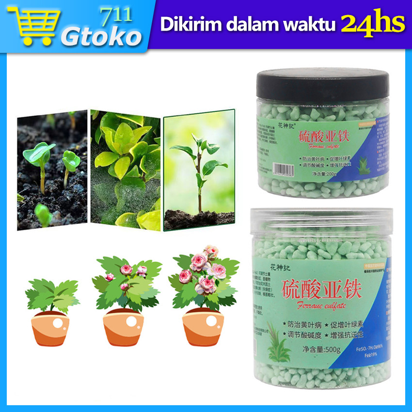 500 Gram Pupuk Tanaman Pengatur Keasaman Menaikkan PH Tanah Penyubur Buah Bunga Daun Ferrous Sulfate