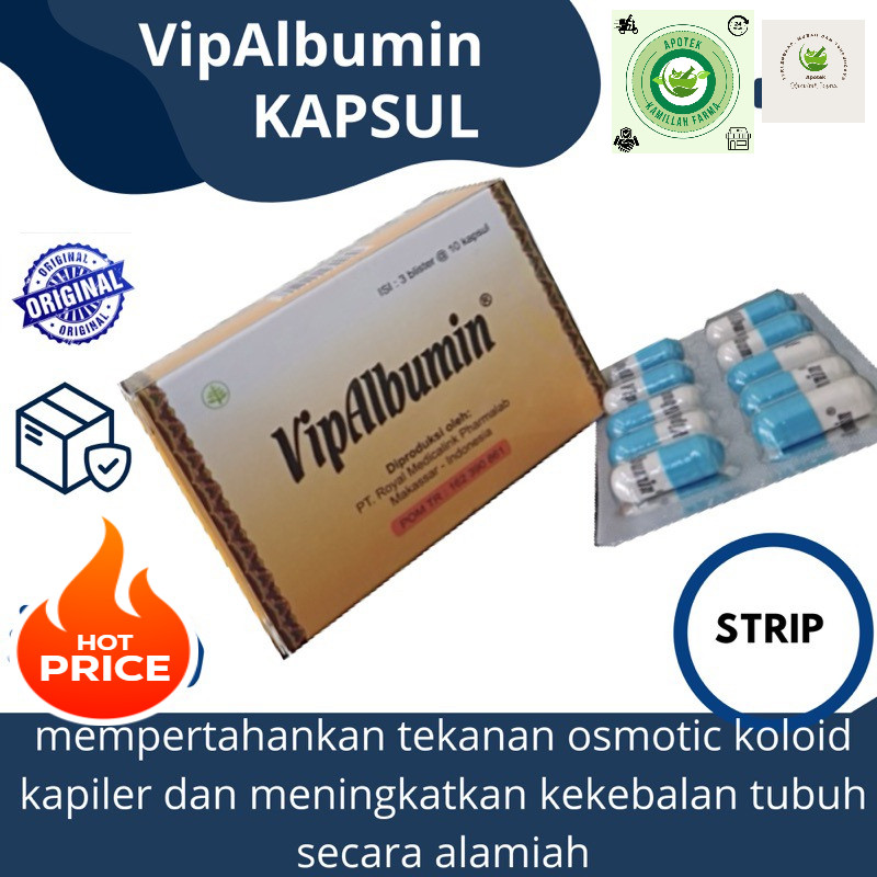 VIP ALBUMIN  1  BLISTER 10 kapsul / KAPSUL HARUAN