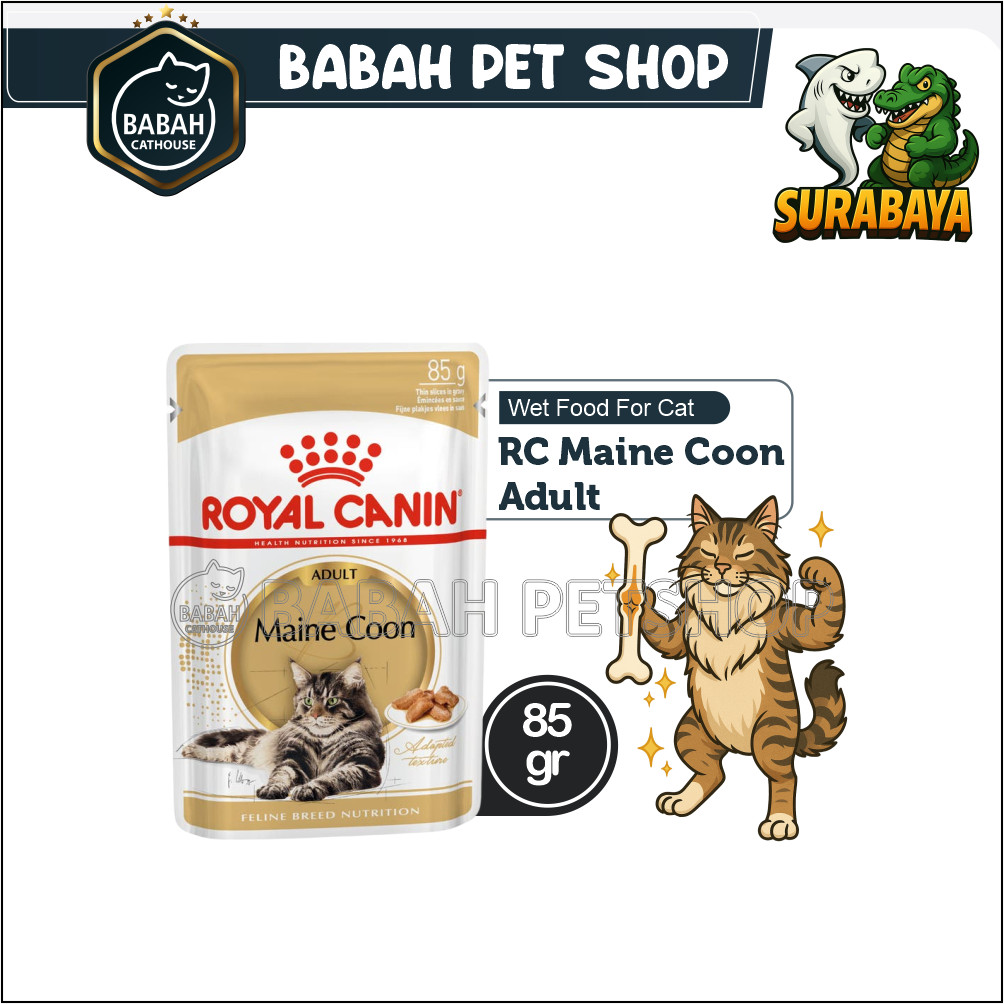 85gr ROYAL CANIN MAINECOON POUCH cat wet food makanan basah kucing rc main coon sachet untuk adult d