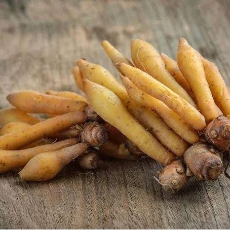 

Ready stok Temu Kunci 1 kg Segar Organik - Gunung Kidul Rina Erlina