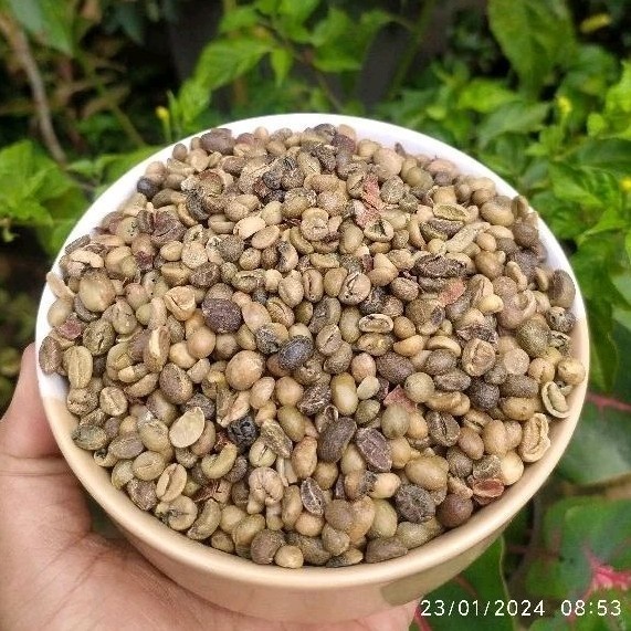 

1kg Biji Kopi AFKIR Robusta Gunung Kawi Sisa Sortasi / Sisa Grading AMJ FARM