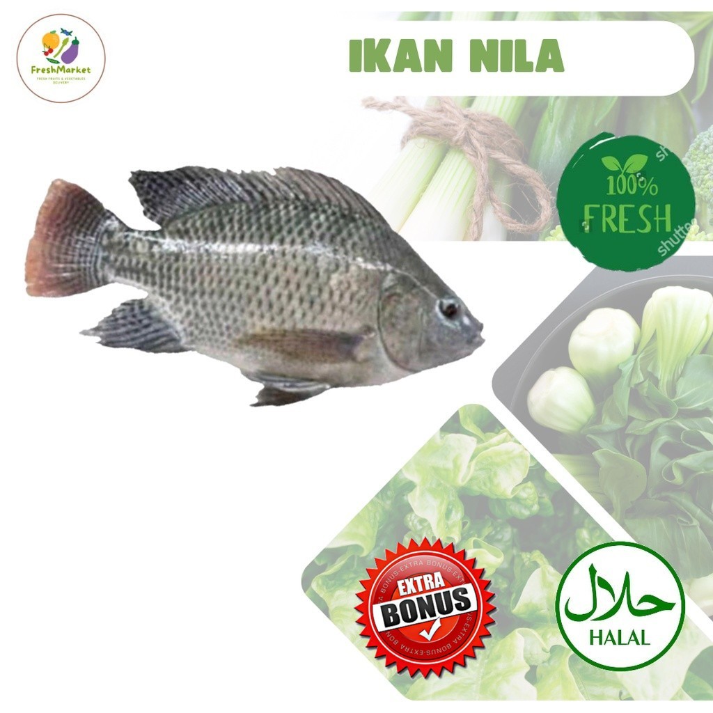 

Ikan Nila Segar Bersih 1kg Sayurinstant