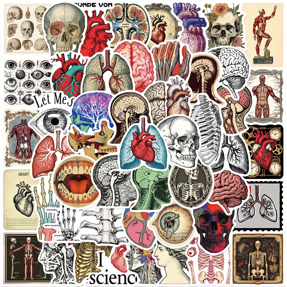 

50pcs Retro Aesthetic Scientific Anatomy Stickers Human Organs Vinyl Decals For Laptop Water Bottle Luggage Notebook Graffiti