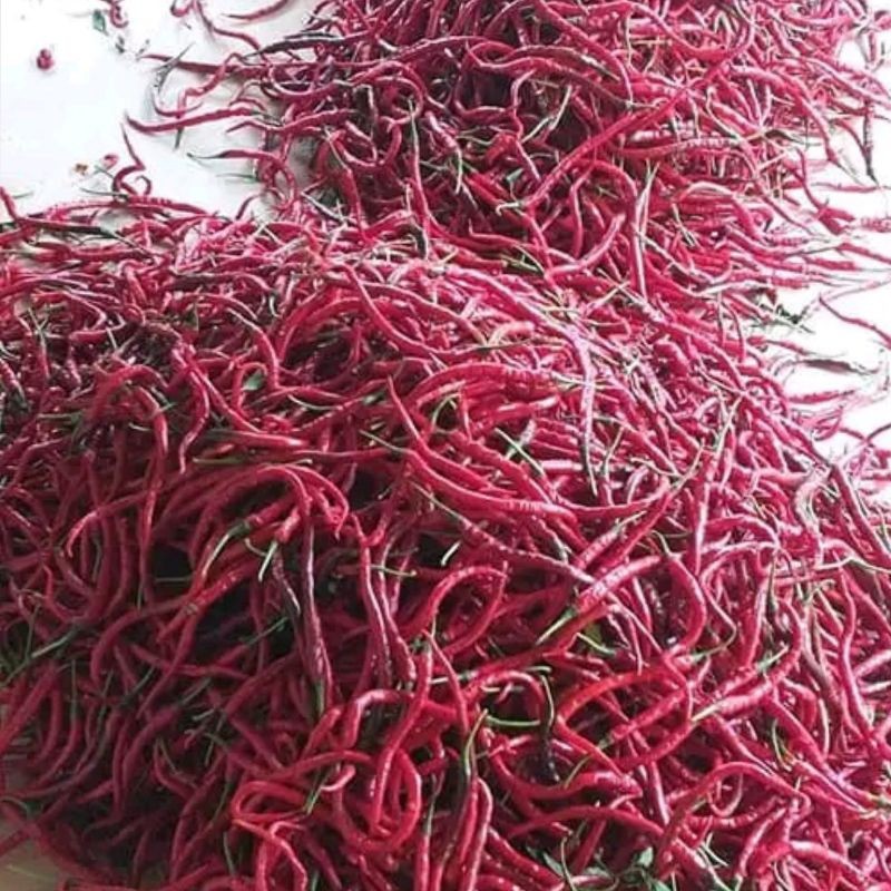 

Paket cabe/cabai merah keriting 1kg