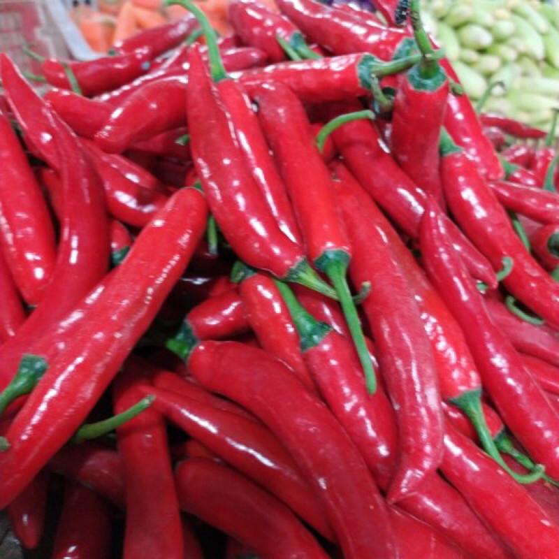 Paket Cabe Merah Besar 1kg | Cabe TW | Cabe Merah