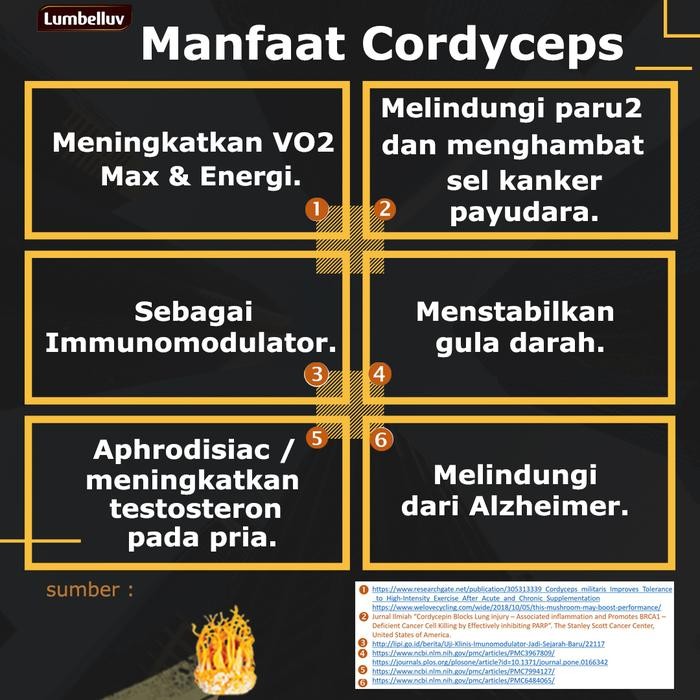 

Cordyceps Coffee Lumbelluv -Kopi Spray Dried, sentuhan ajaib Cordyceps