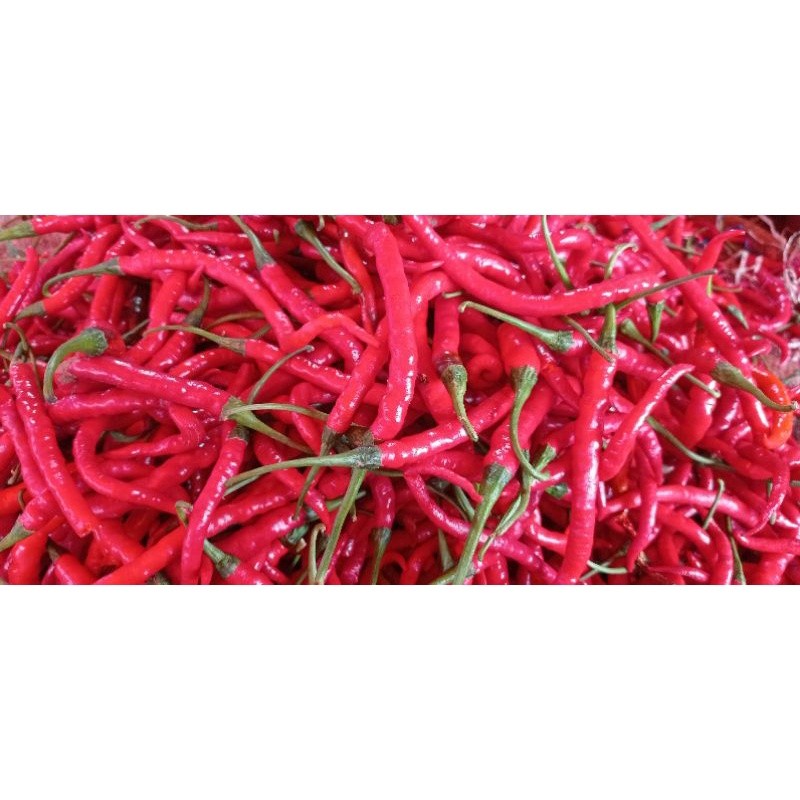 

Paket Cabe Merah Keriting Segar / Cabe Kampung / Lado Kampuang 1kg