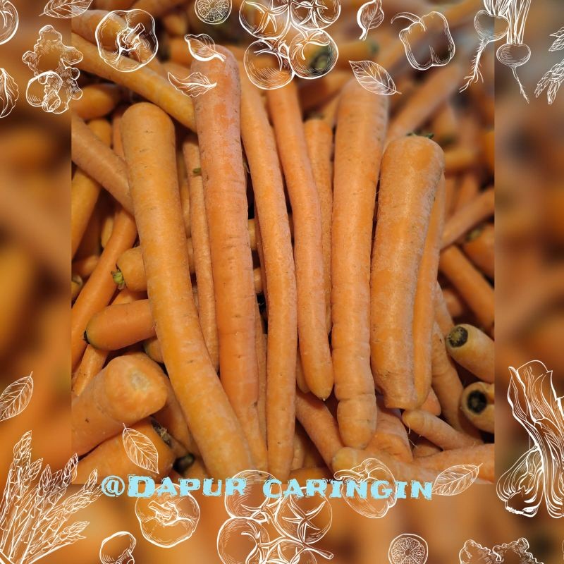 

Wortel segar Bandung