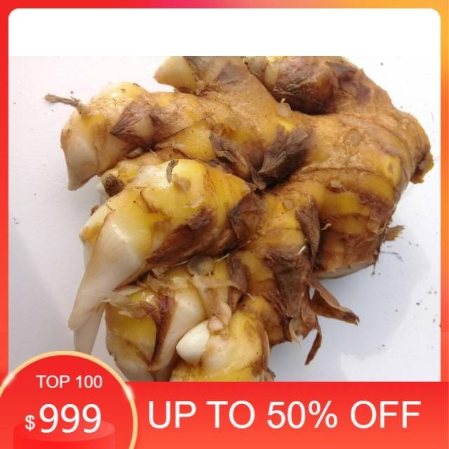 

Ready stock Umbi bangle basah 1kg panglai atau bengle segar