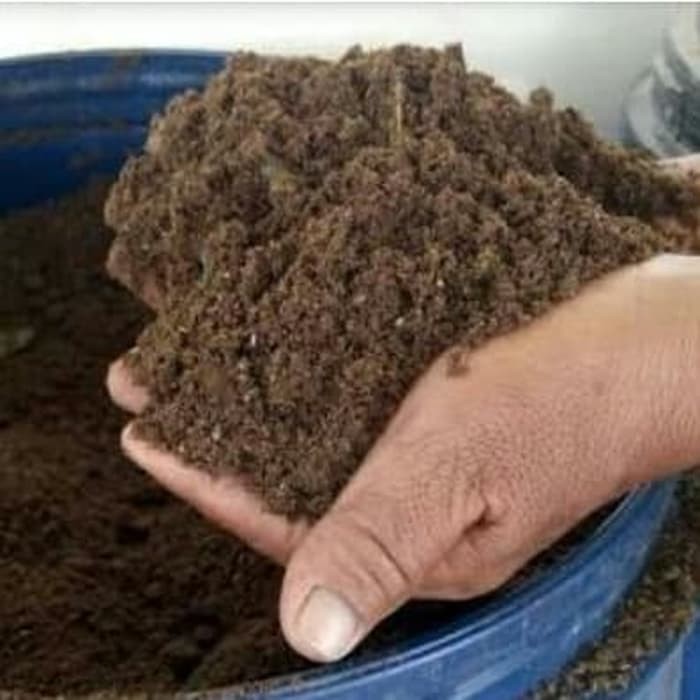 

Pupuk Kompos Kotoran Sapi -Sudah diolah Asli 100% 1 kg