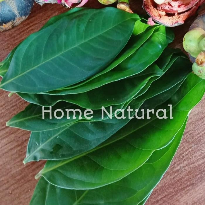 

50 Lembar daun salam - Bumbu daun salam - Rempah penyedap rasa masakan