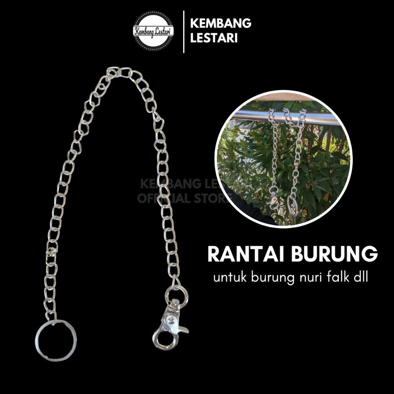 Rantai Nuri Tali Rantai Burung Beo Betet Nuri Panjang 45cm HIGH QUALITY