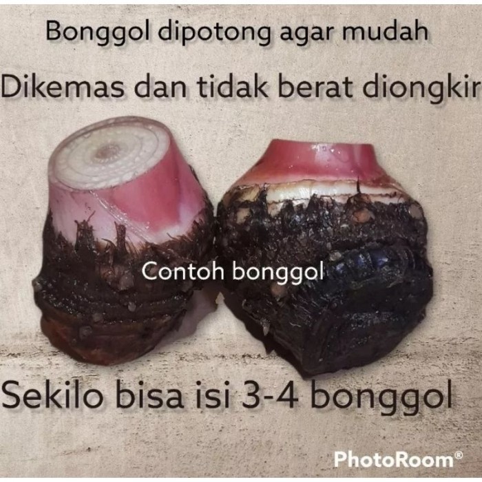 

Mew Bibit Pisang Emas | Bibit Bongol pisang Emas | Pisang Emas | Bongol pisang Emas .