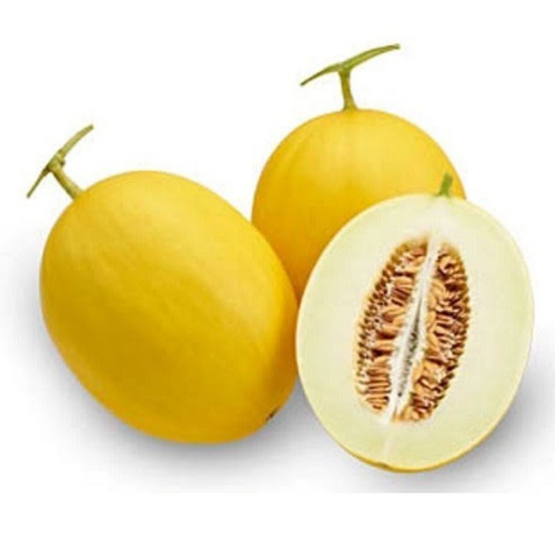 

Melon Golden /1 buah
