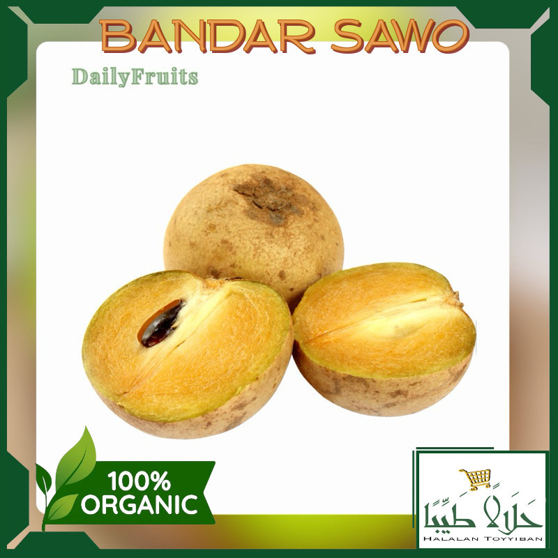 

BANDAR Sawo Madu Fresh 1Kg | DailyFruits