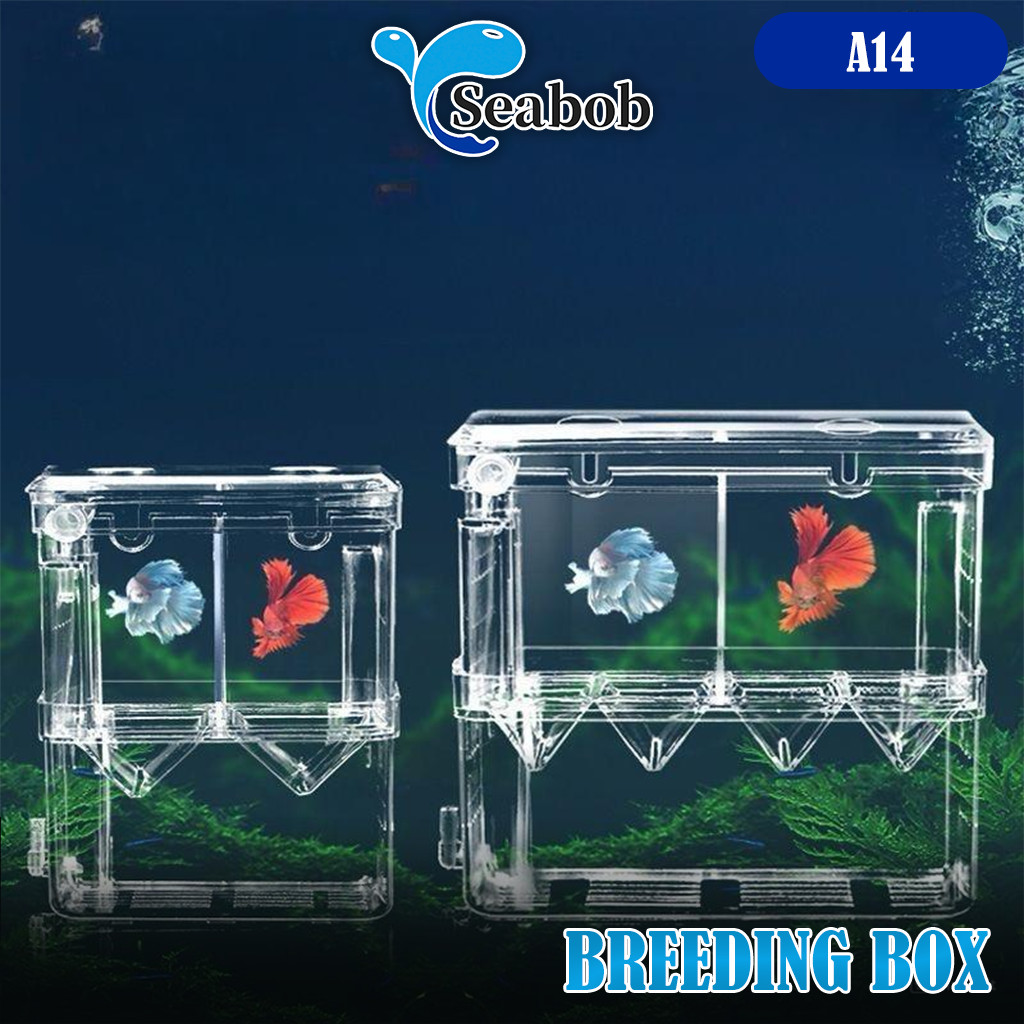 SEABOB Breeding Box Guppy A14/ Isolation Box / Wadah Karantina Isolation Ikan