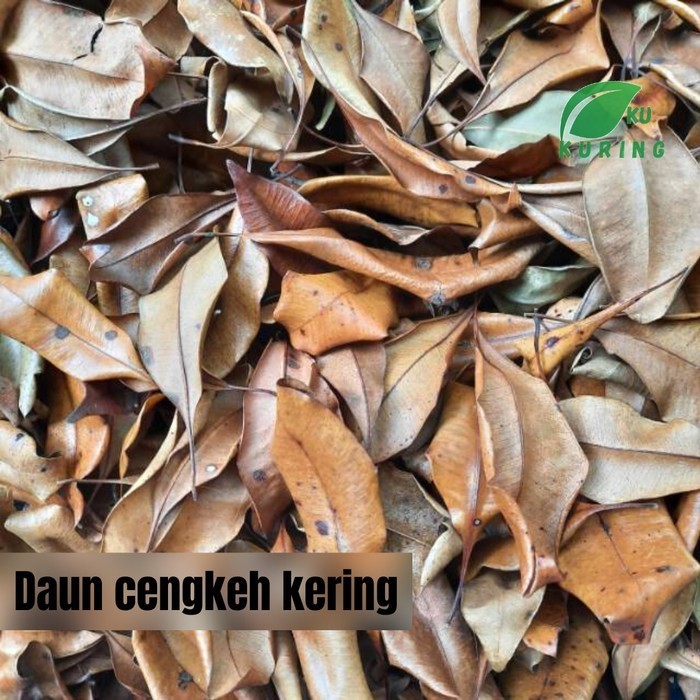 

100 gram daun cengkeh kering