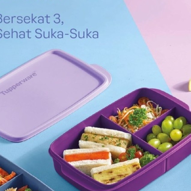 coolteen lunch box Tupperware kotak bekal - ungu new