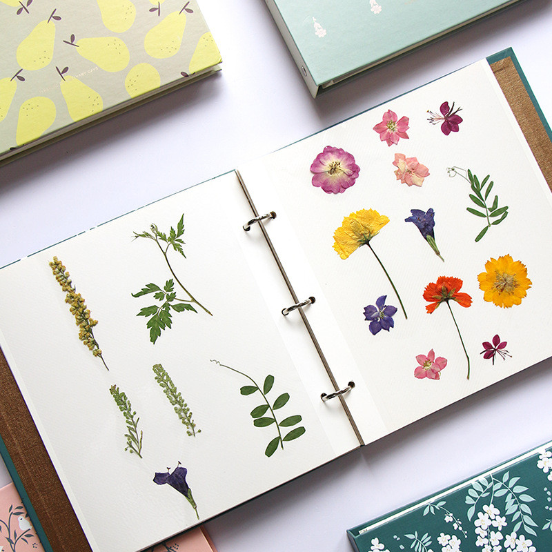 

Herbarium Collection Book Leaves Dried Flowers Embossing Collection Loose Leaf Card Memory Book Film Covered DIY Photo Album