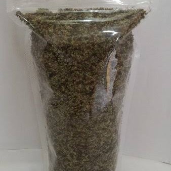 spora azolla microphylla - azolla kering