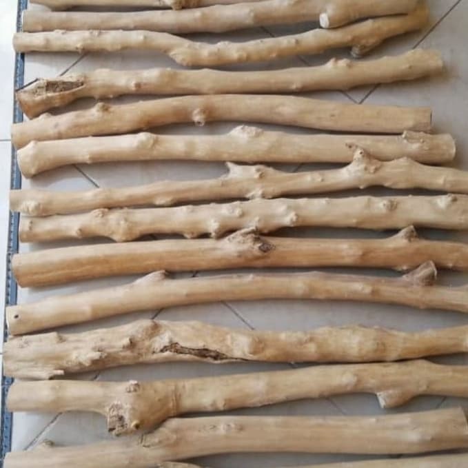 Tangkringan batangan kayu kopi panjang 60 cm