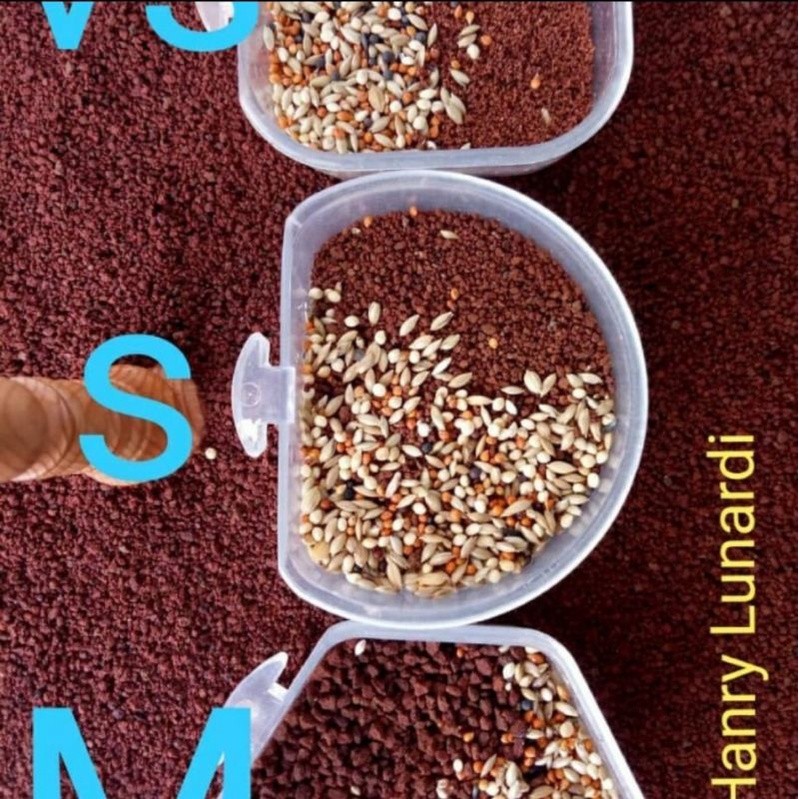 Serbuk Bata Merah - Media Kipu Burung Branjangan Burung Murai Bubuk Bata Merah Pasir Bata Merah