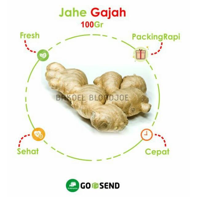 

JAHE GAJAH 1KG EMPON EMPON KUALITAS SUPER / GINGER / REMPAH FRESH BERKUALITAS / BUMBU DAPUR / HERBS