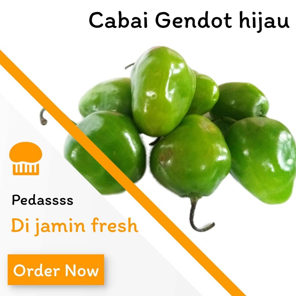 

PROMO DISKON 500 gram CABAI GENDOT HIJAU FRESH PEDAS