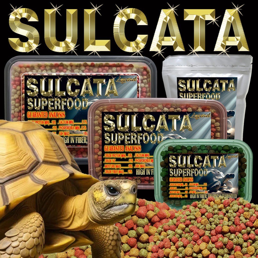 SULCATA SUPERFOOD MAKANAN KURA-KURA DARAT TORTOISE CENTHROCHELYS SULKATA ADULT BABY BITES PAKAN PELE