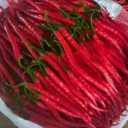 

Paket 1000gram/1kg cabe keriting merah fress petik langsung dari petani