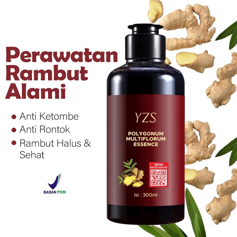 BPOM YZS Shampoo Polygonum Membersihkan Menutrisi dan Melembutkan Rambut 300ml