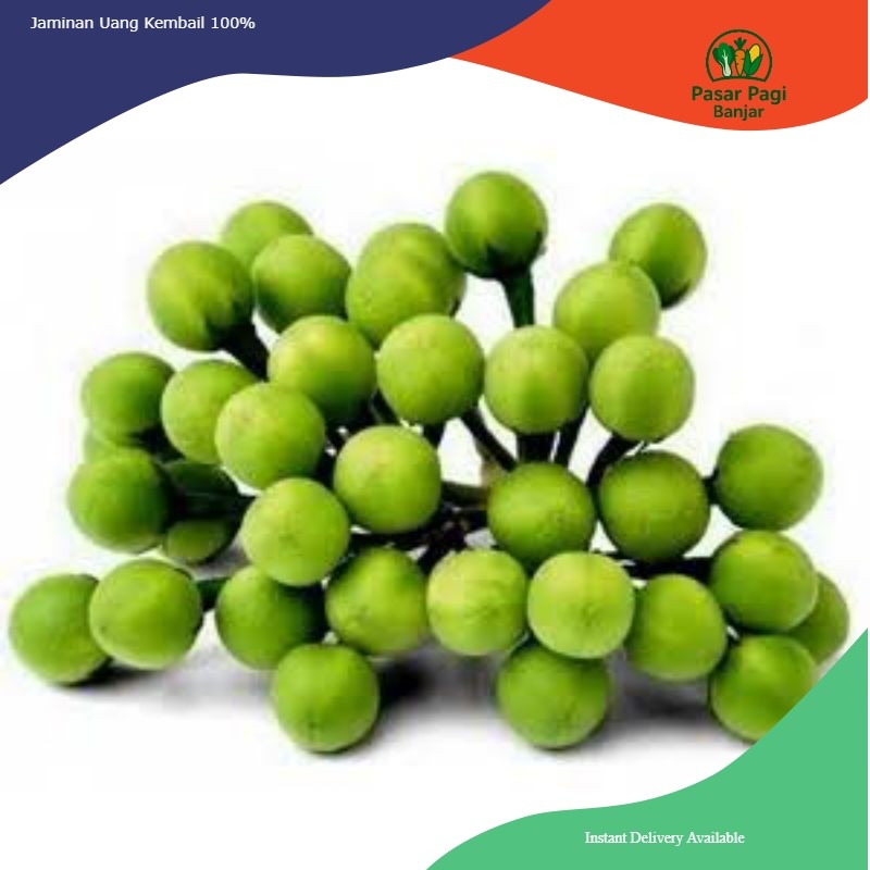 

Terong Pipit / Berat 500 gram