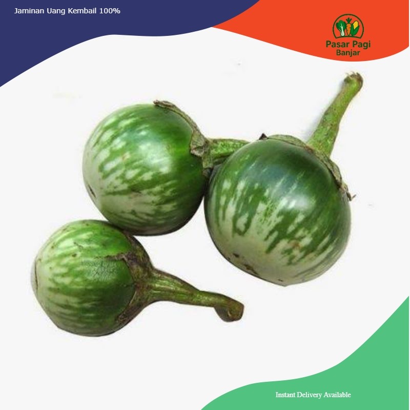 

Terong Lalap Tentara / Berat 250 gram