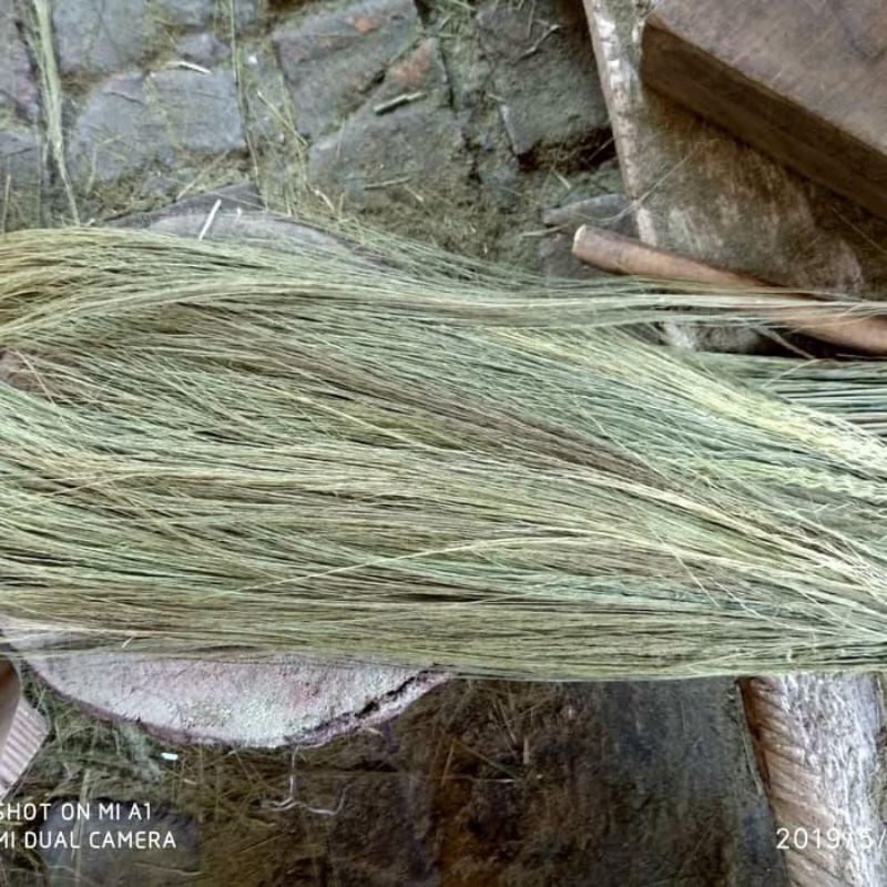 1kg Rayung Cemara Kering Sarang Susuh Burung (GUDANG POT STORE)