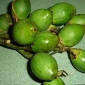 

buah jame / buah pinang muda 500 gram
