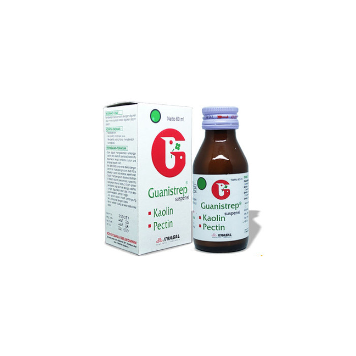 

Guanistrep Suspesi Syrup 60ml - BPOM (FRESH)