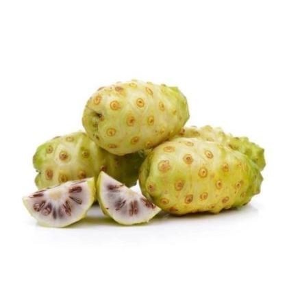 

Buah Mengkudu (Pace) Segar 1 kg – Herbal Alami untuk Kesehatan Tubuh